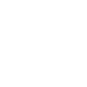 cropped wiola kusiak logo.png